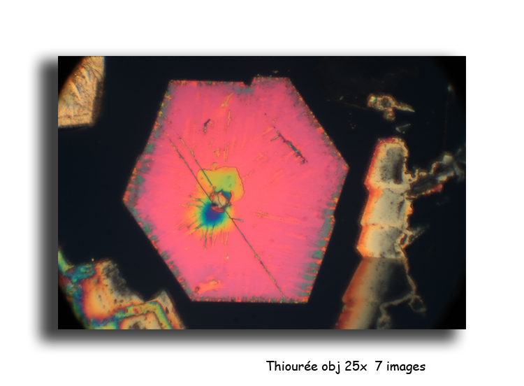 Thiourée #13950