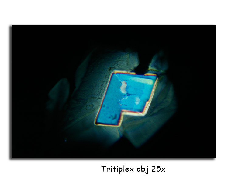 Titriplex #13898