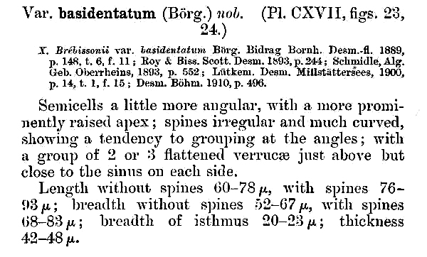Xanthidium basidentatum #82055