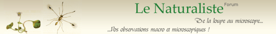 logo Le Naturaliste